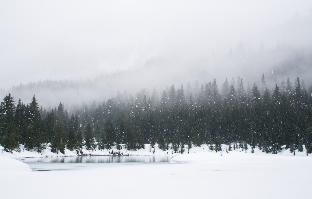 Comment choisir chaîne neige : guide complet pour rouler en toute sécurité